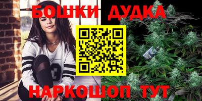прущие грибы Обь