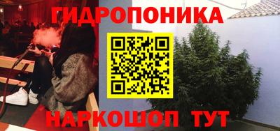 прущие грибы Обь