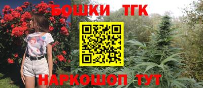 прущие грибы Обь