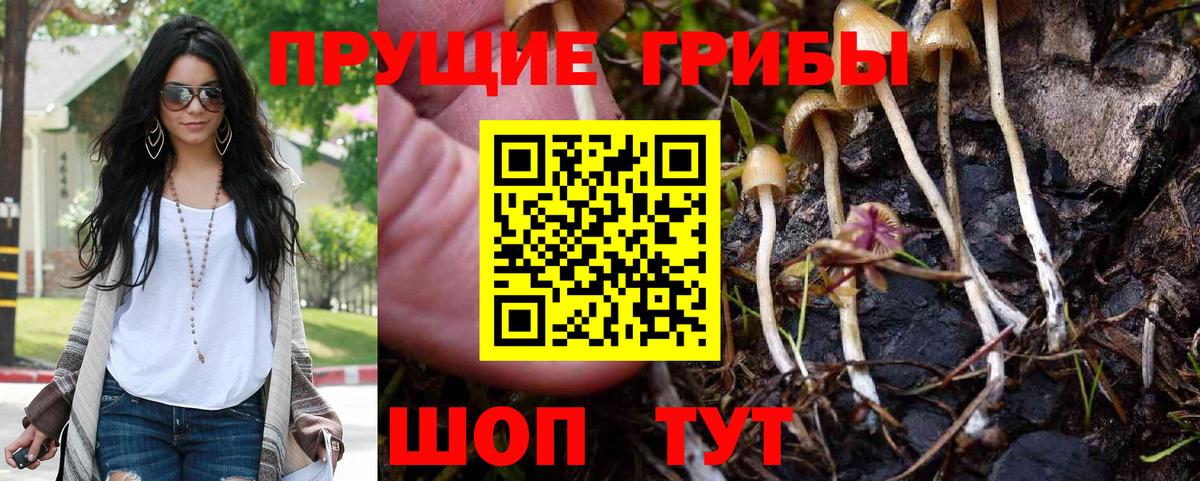 Псилоцибиновые грибы прущие грибы Тихвин